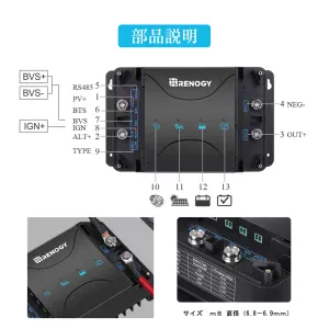 RBT100LFP12S