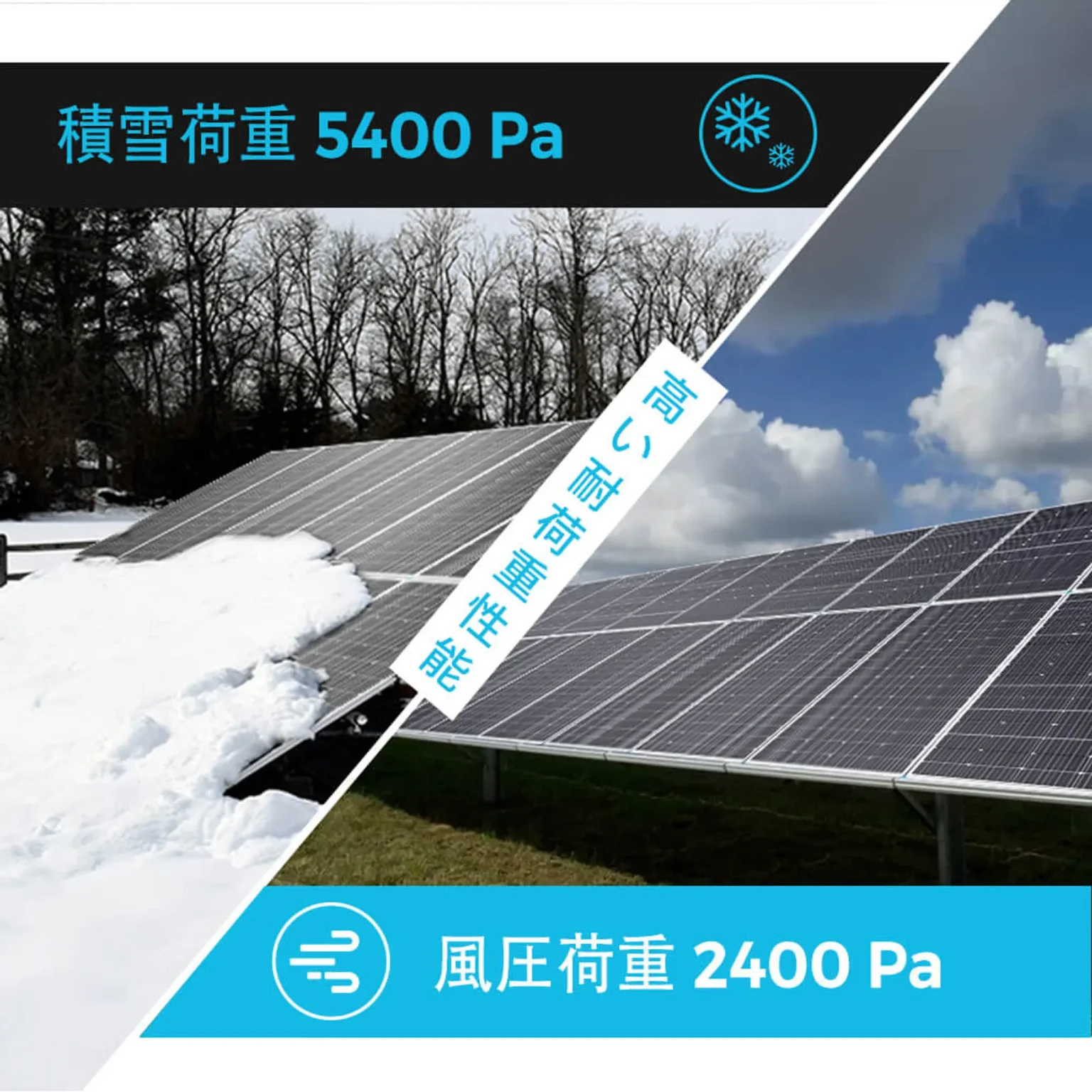 RSP200D-JP