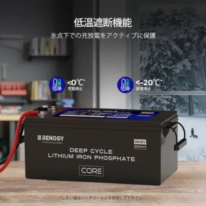 RBT24200LFPSH-G1-JP