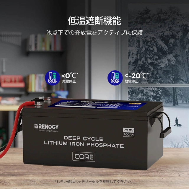 RBT24200LFPSH-G1-JP