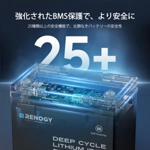 RBT12100LFP-H-G1-JP