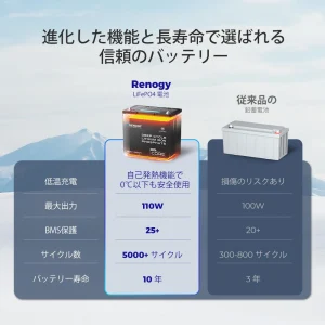 RBT12100LFP-H-G1-JP