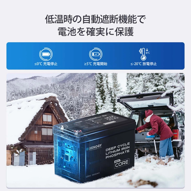 RBT12300LFP-M-G1-JP