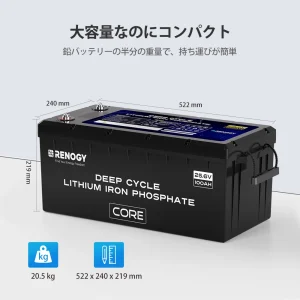 RBT24100LFPSH-G1-JP