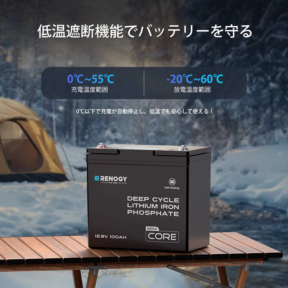 RBT12100LFP-H-G1-JP