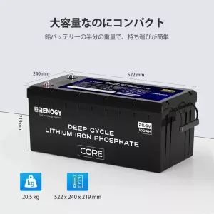 RBT24100LFPSH-G1-JP