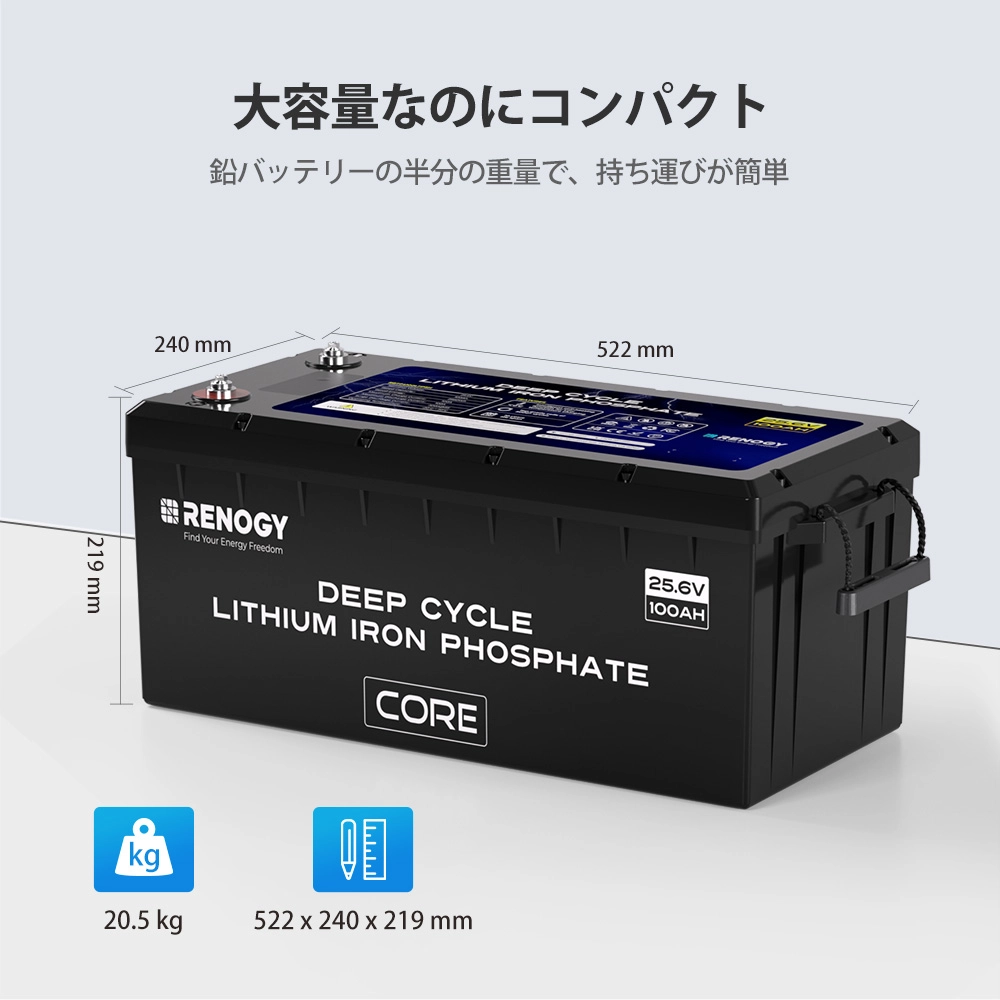 RBT24100LFPSH-G1-JP