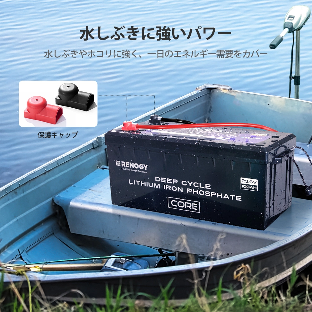 RBT24100LFPSH-G1-JP
