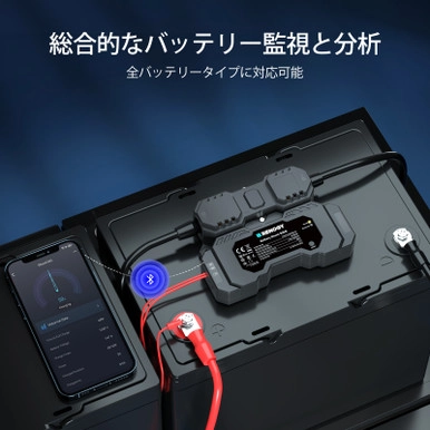 RSHST-B02P300-G1-JP
