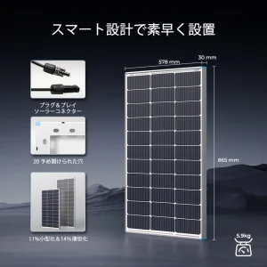  RSP100DC-G1-JP