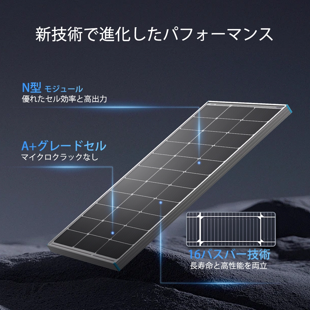  RSP100DC-G1-JP